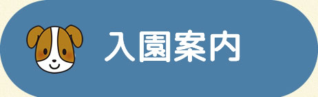 一時預かり